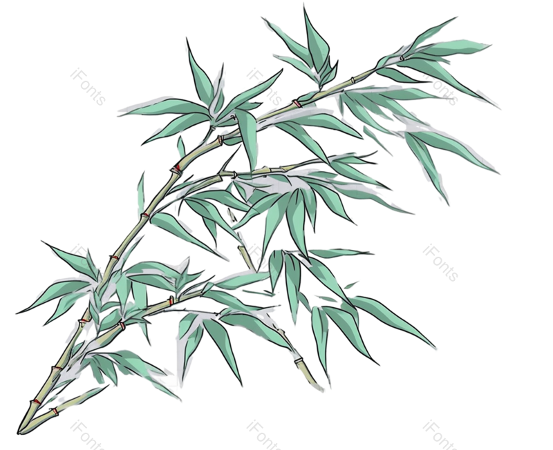 叶子图片,元素元素,传统文化PNG,竹子免抠素材